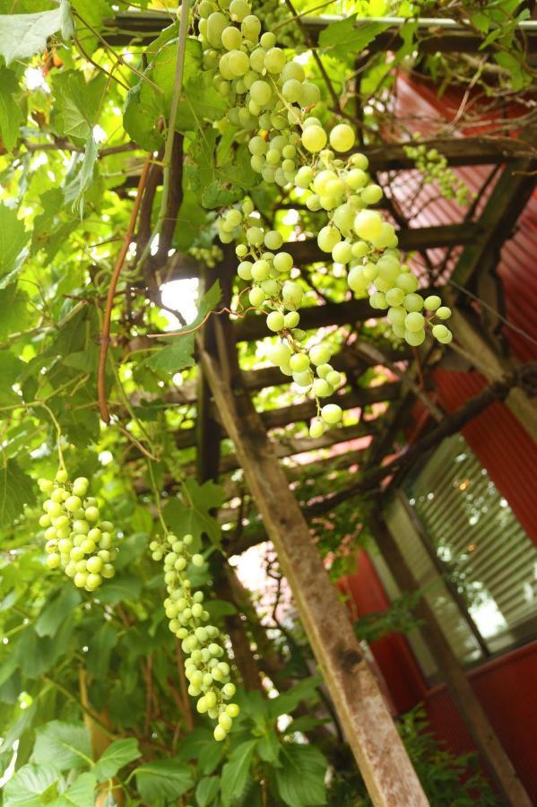 Grapehouse Koenji * Tóquio
